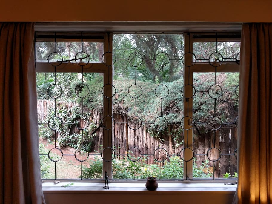 View of the garden from your room, with privacy