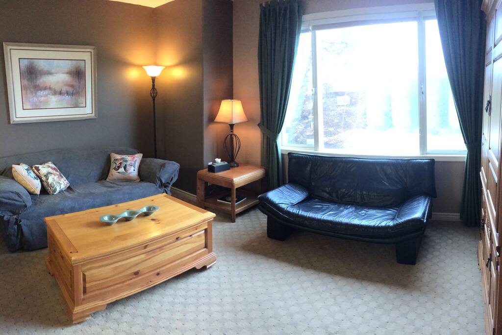 The bright living room allows plenty of natural light to pour in