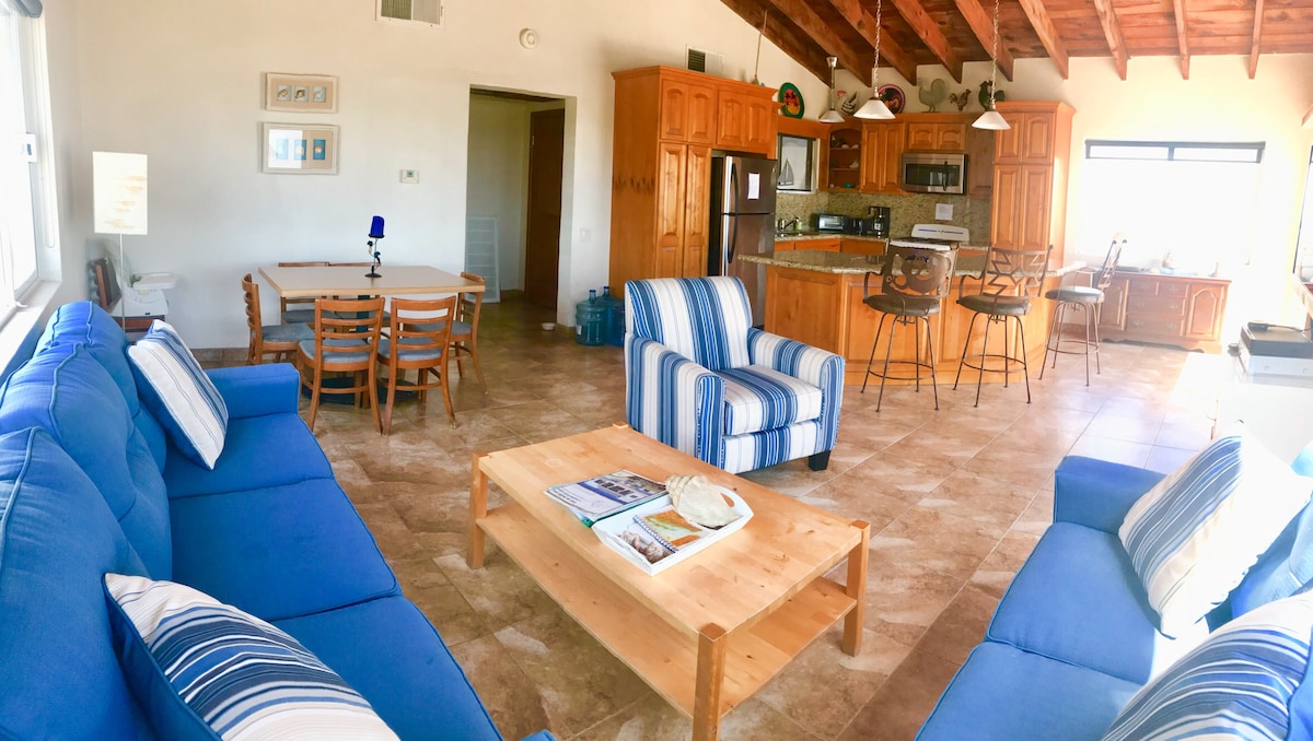 An open-concept living area is captured, featuring comfortable blue sofas and a wooden coffee table with magazines. A dining table with chairs is visible, alongside a kitchen with wooden cabinetry and bar seating. Natural light floods the space through large windows.