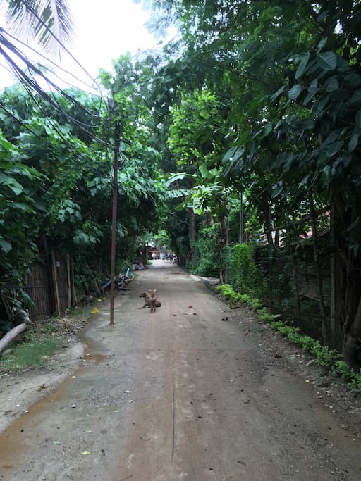 The unfinished road to the White Beach of Boracay Island which is a minute away!