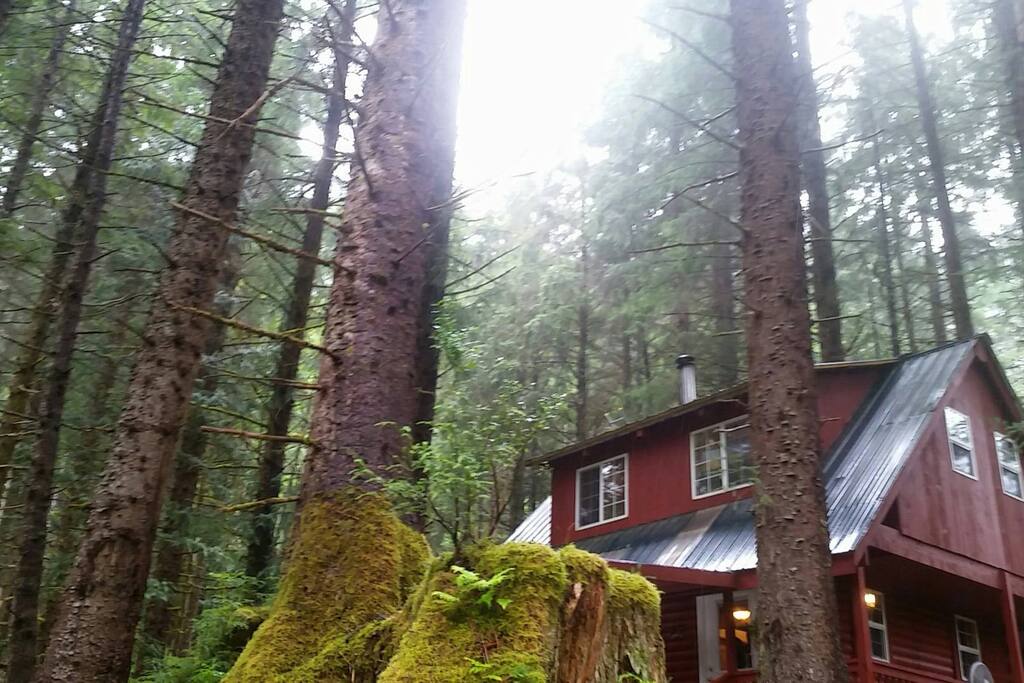 View of cabin from the fire pit area.