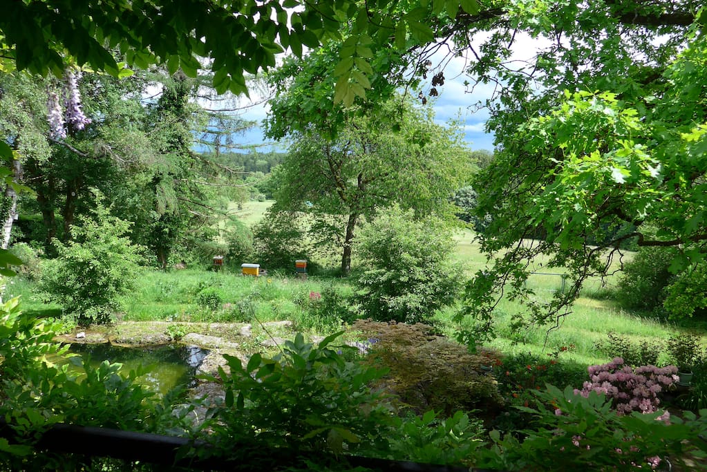 Ein Blick vom Balkon