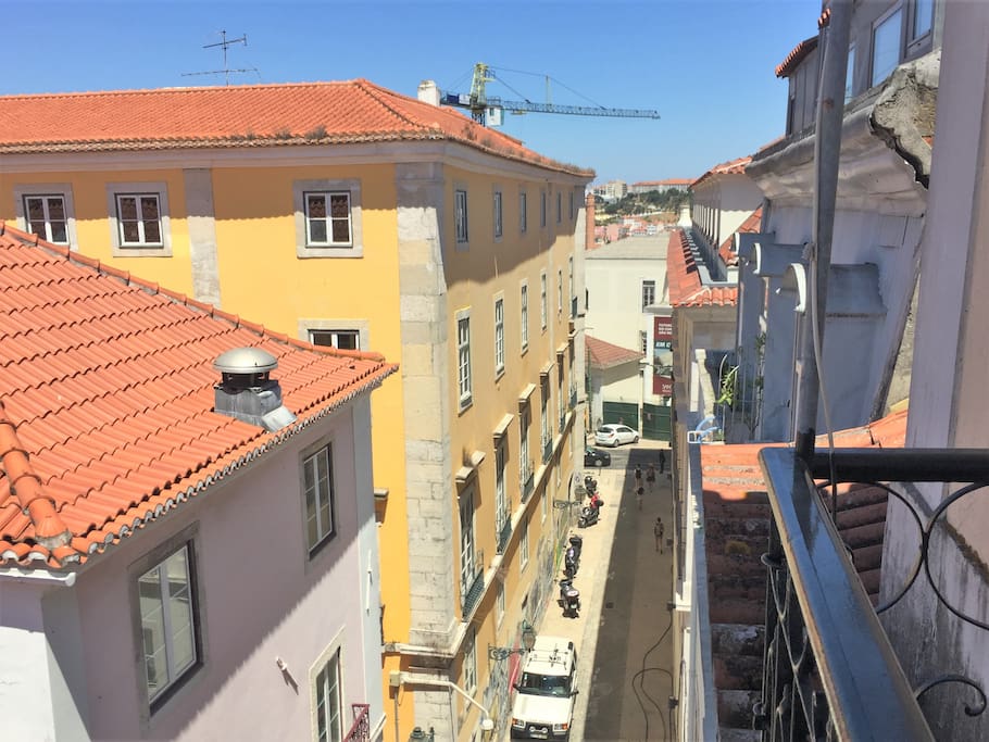 Window view