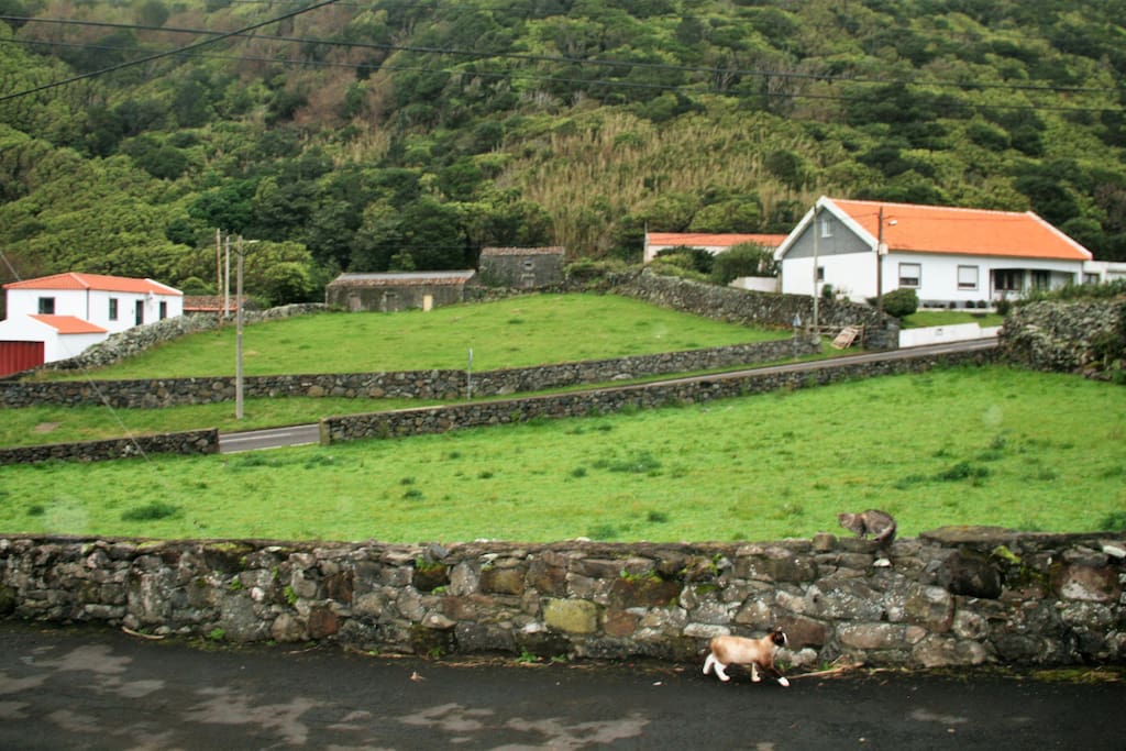 Vista da sala