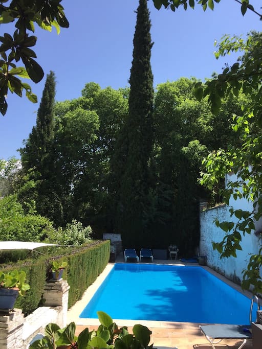 The Pool