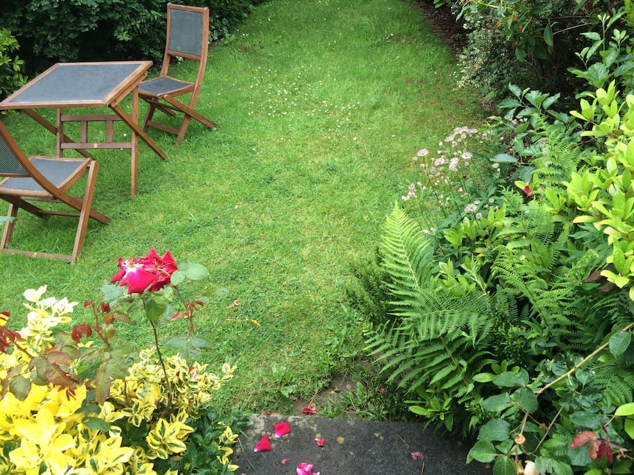The back garden is a quiet retreat