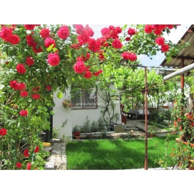 Garden with flowers and an outdoor dining place