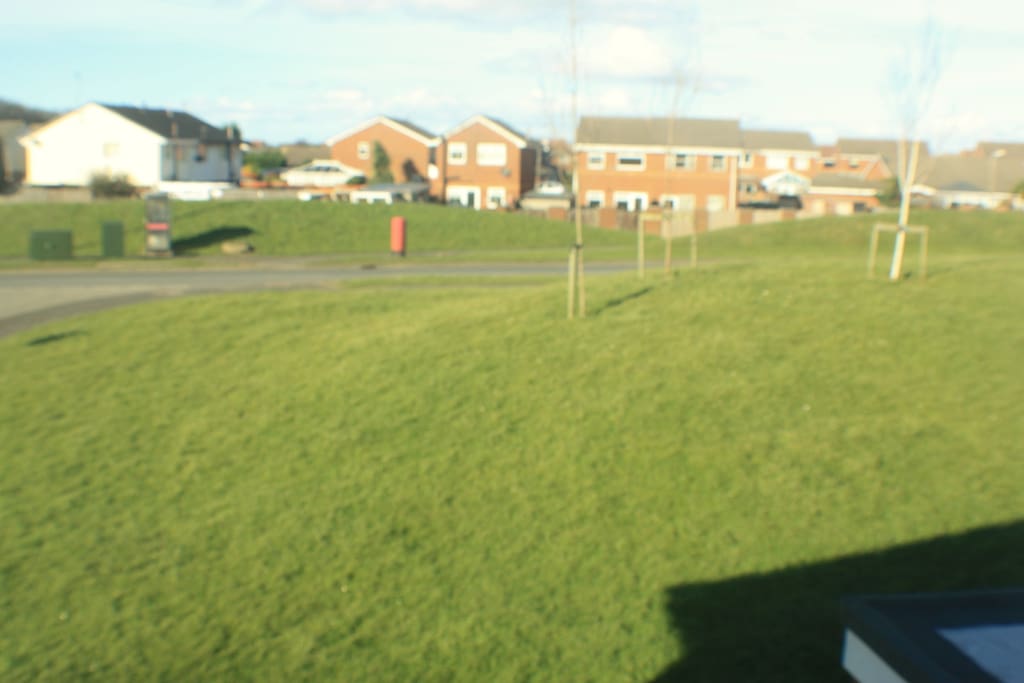 grassed area next to the house