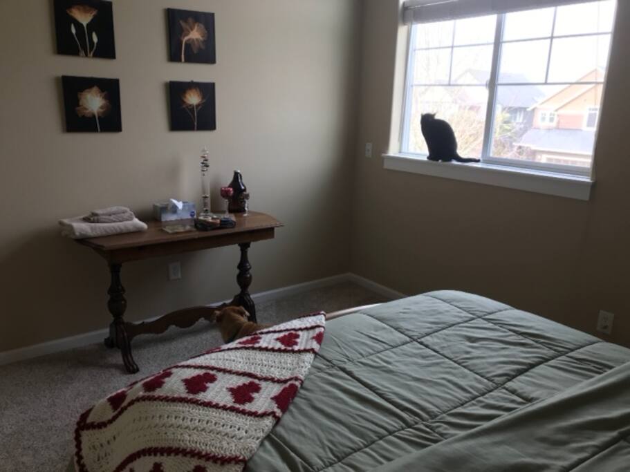 Cat may or may not be included in your stay, she is a cat after all