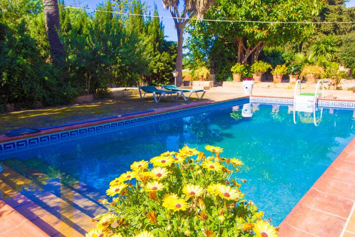 Son Prunes by North Properties Mallorca gallery image 4