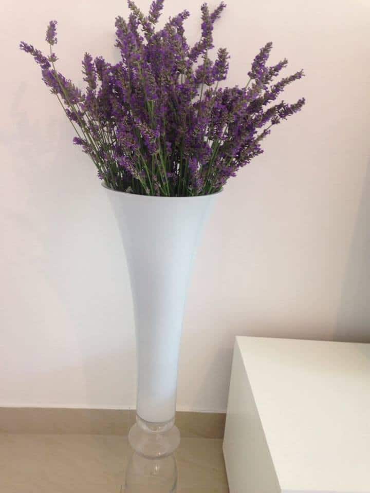 Apartman  Ivan - Sinj