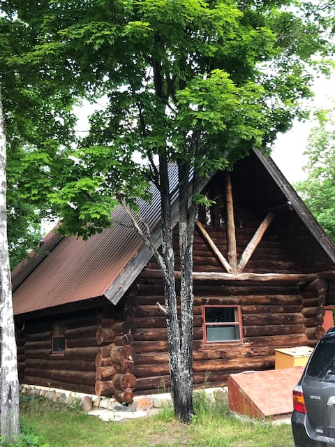 Unique Log Cabin in Private setting