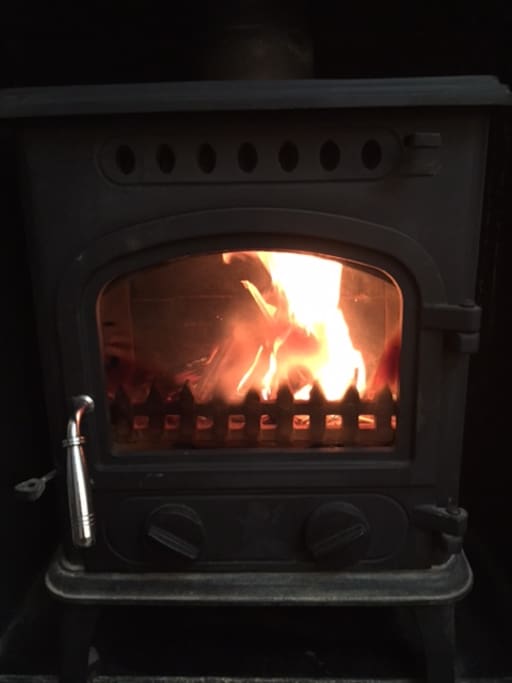 Real wood burning stove