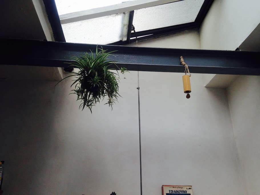 Window ceilings