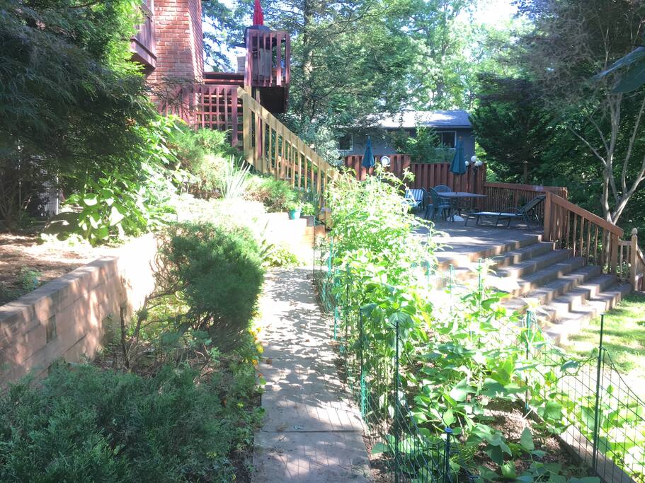 Path leading to the apartment