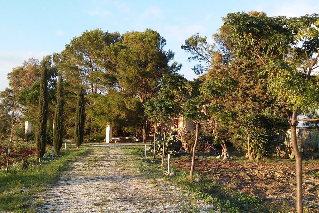 Giardino
