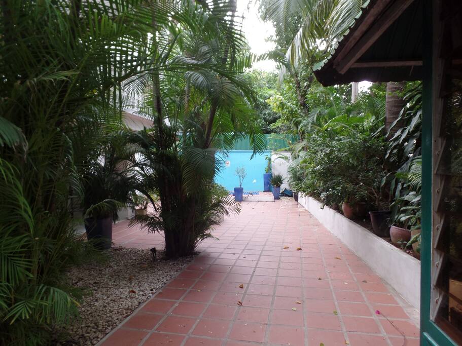 Entrance from main gate