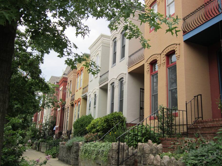 Our street. The house is the second from right.