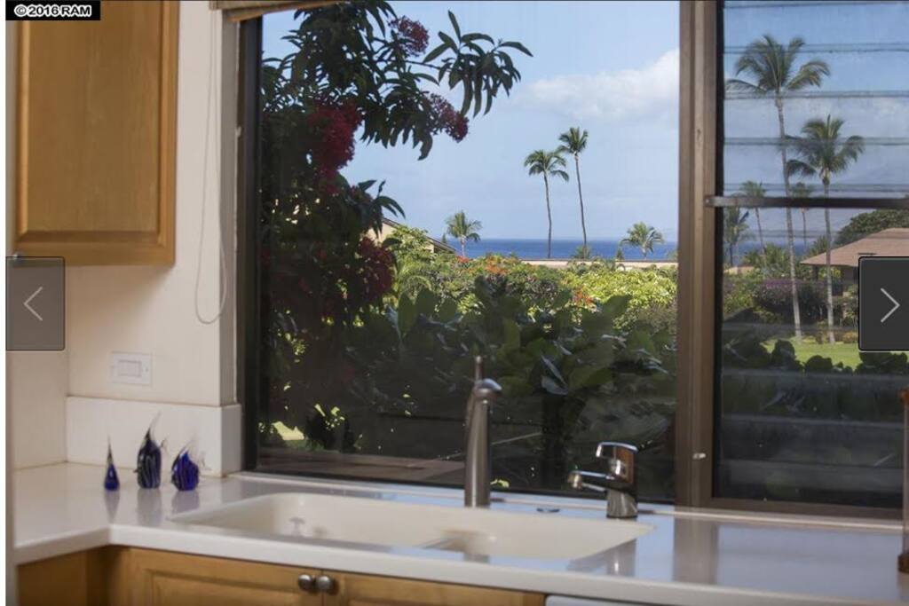 View from kitchen