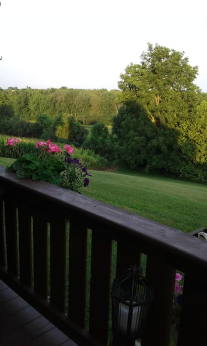 View from back deck