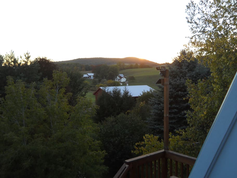 view from porch