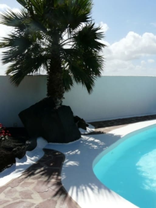 Casa Margarita´s Heated 8 x 4 Metre Heated Swimming Pool