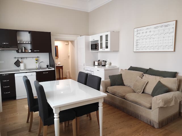 Appartamento grande in centro storico