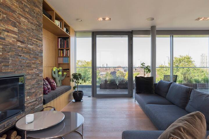 View Landmarks from This Luxury Penthouse Apartment gallery image 4