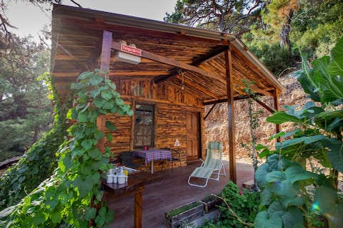 Camping Namaste Tiny House
