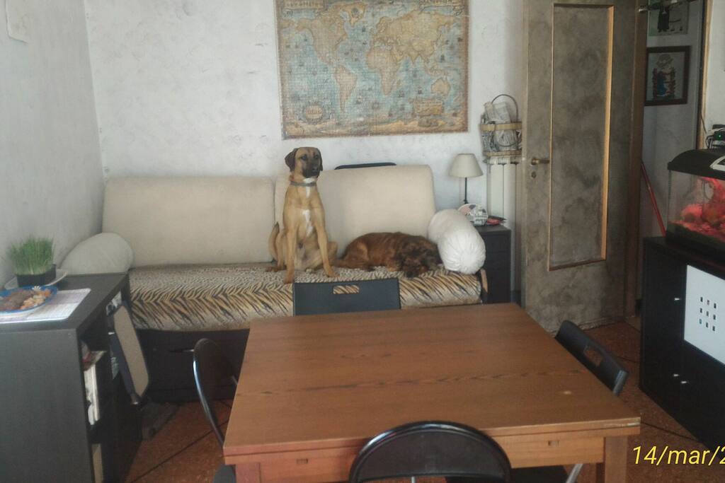 divano letto matrimoniale del soggiorno.