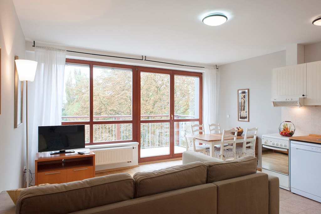 Spacious and bright living room overlooking the garden