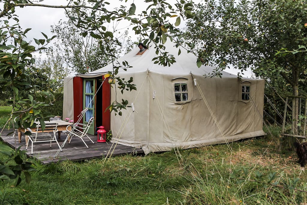 De tent (5 x 5 meter)tussen de appelbomen.