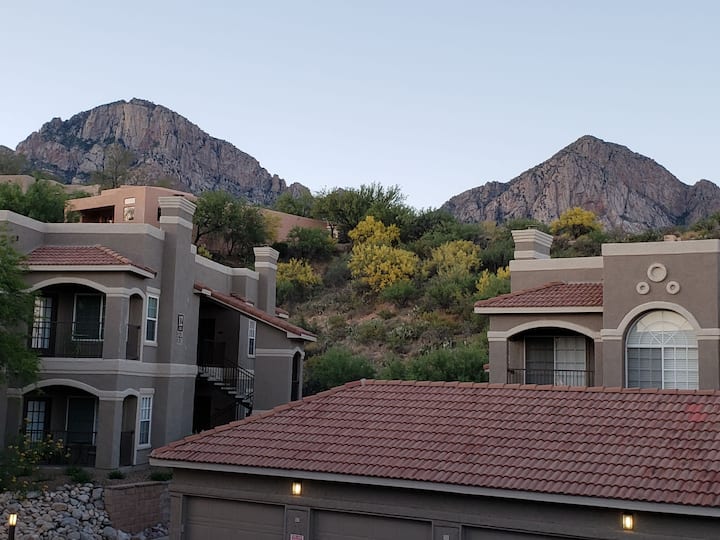 Newly Remodeled. Mountain Views - Oro Valley, AZ