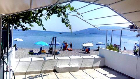 Apartment on the beach!