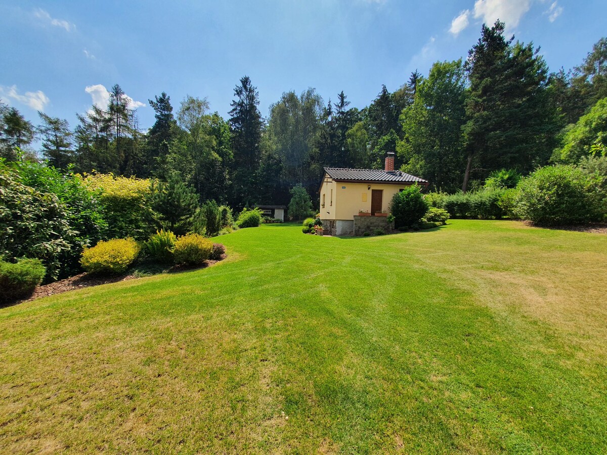 A charming cottage is set within a spacious green lawn surrounded by mature trees and shrubs. The landscape features a variety of foliage, adding to the serene atmosphere. Blue skies with scattered clouds complement the peaceful outdoor setting.