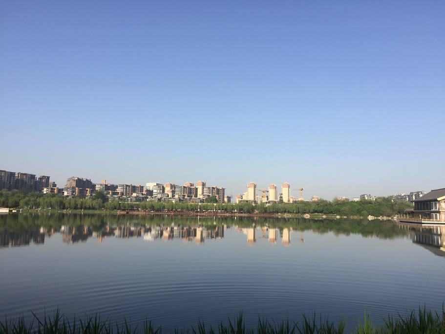 家门口曲江池遗址公园