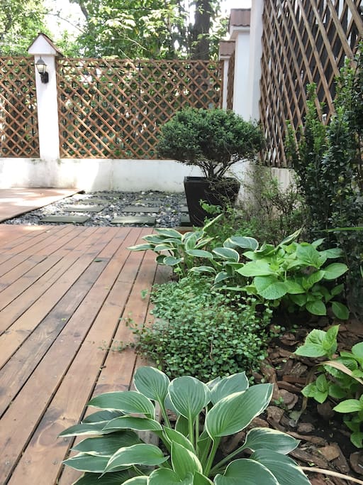 our big garden