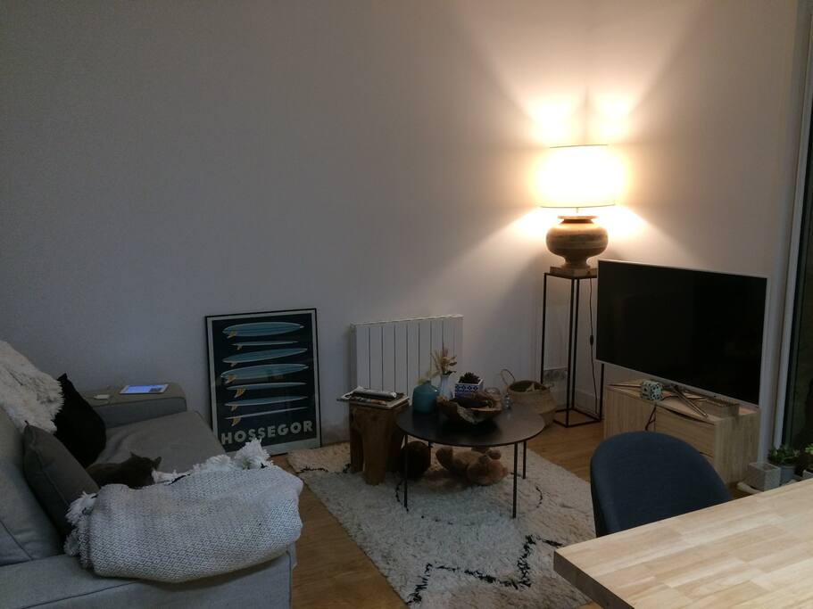 Pièce de vie - salon