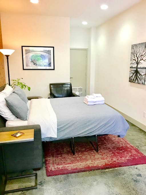 Large studio with high ceilings, contemporary decor, private bathroom, queen size SOFA-BED (Airdream brand, two inches air mattress topper allows more comfort than typical hide-a-bed frames).