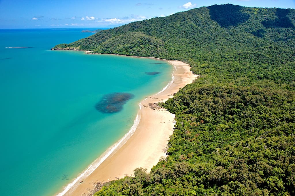 Where the beach meets the rainforest