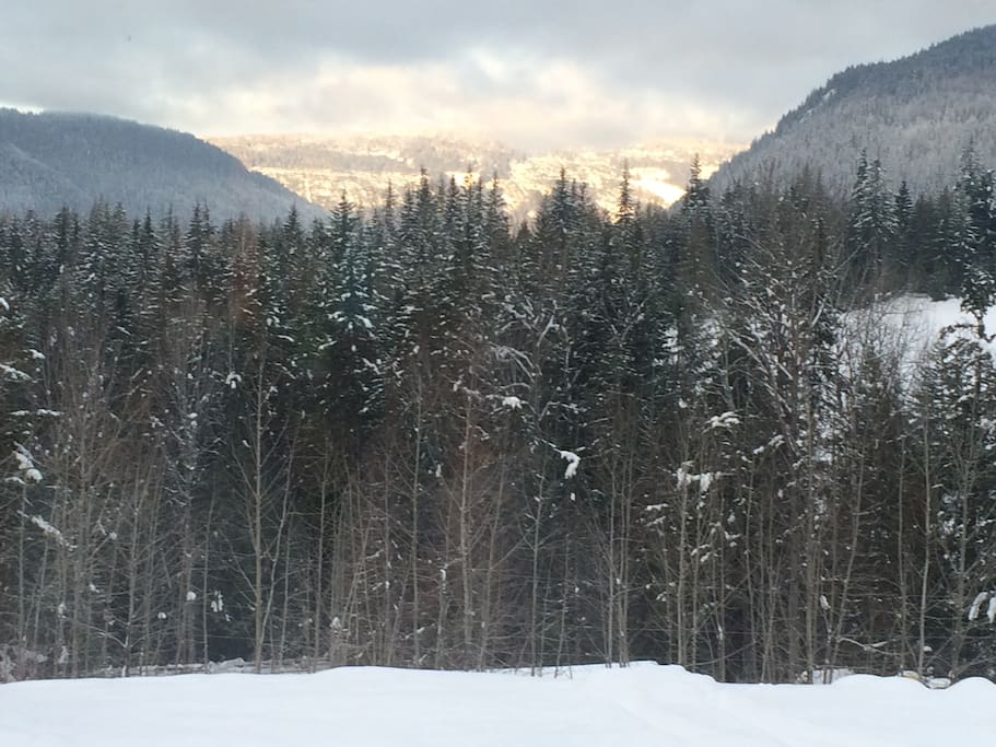 Winter view from the Master Bedroom