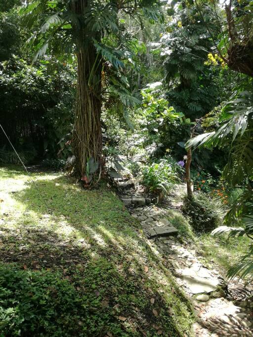 Jardin