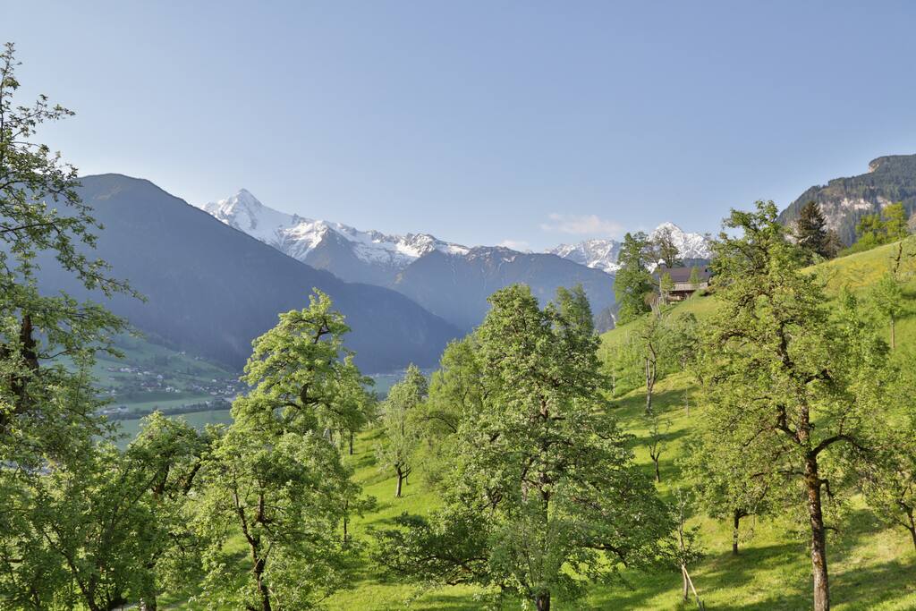 Ausblick vom Panoramazimmer bzw. Blick nach Süden.