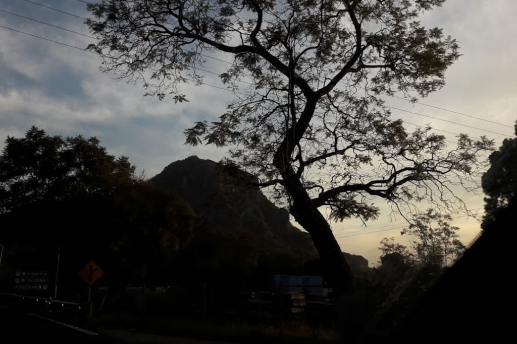 En contacto con la naturaleza.