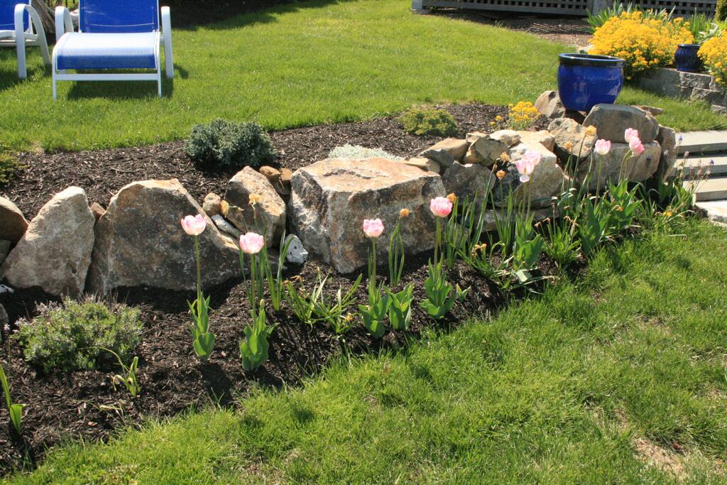 Some of the landscaping