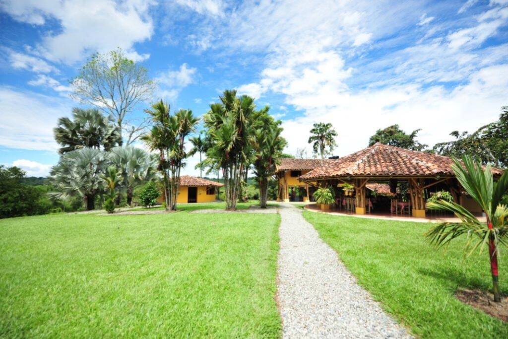 Dedicada a la producción de aire puro, cuenta con un jardín de múltiples variedades de aves, flores, fauna y frutales.
Dedicated to the produccion of pure air, it counts with a garden with multiple varieties of birds, flowers, fauna and fruit trees.