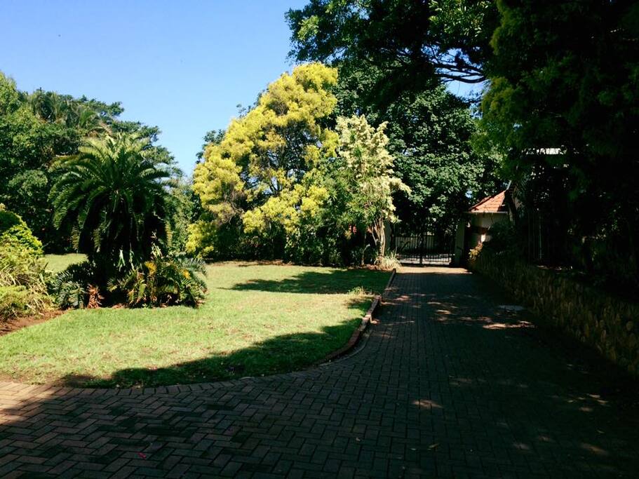 Lush Garden.