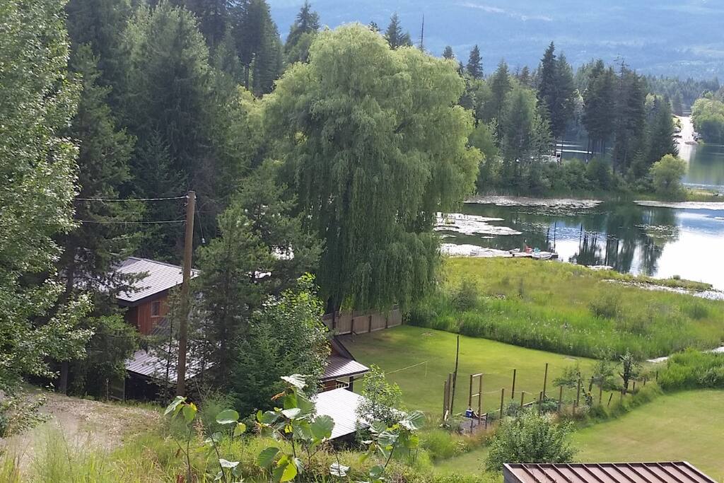 House and yard.