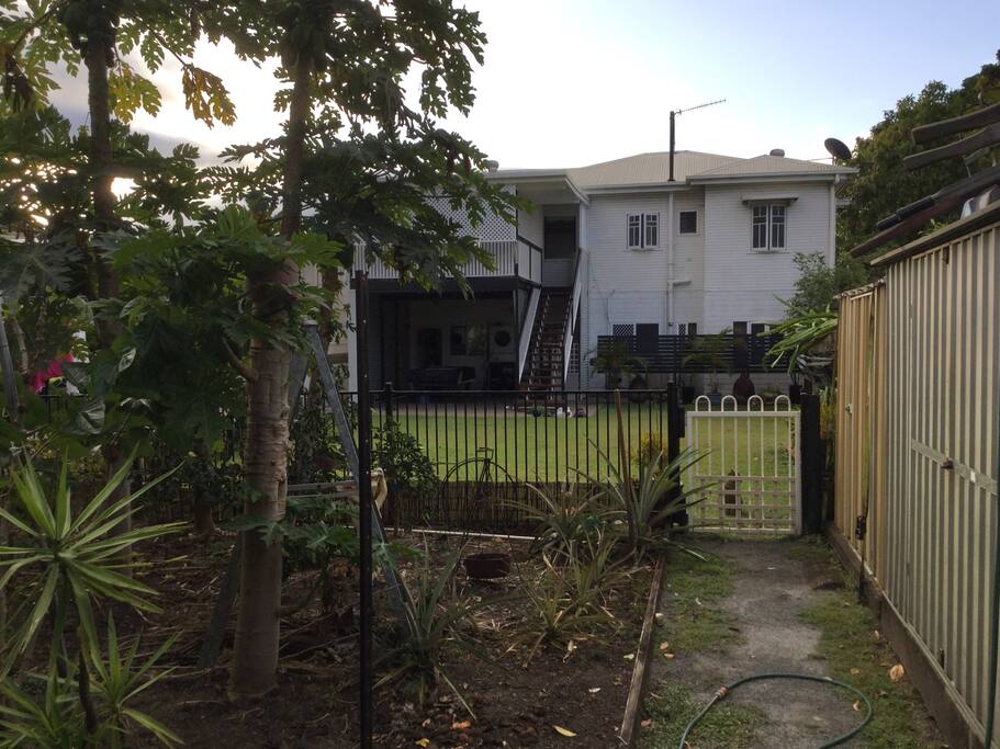 Back garden
