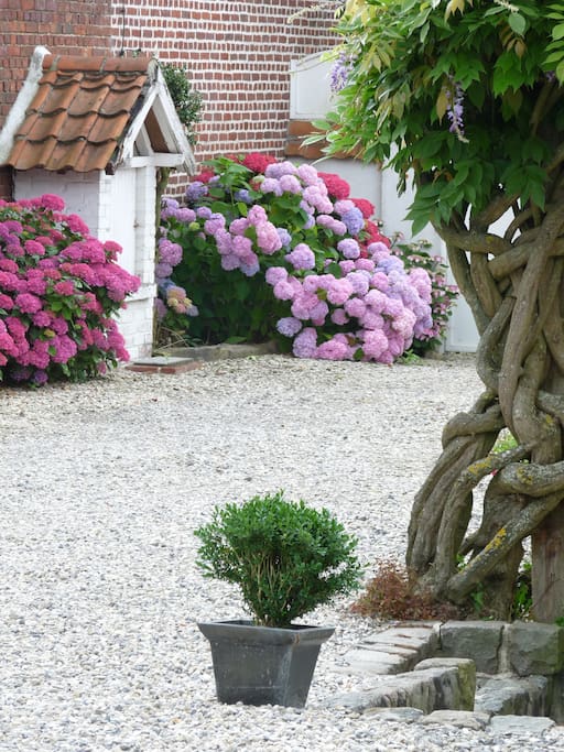 Jardin